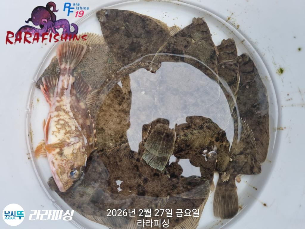 낚시뚜,도다리,속천항(진해),라라피싱,낚시뚜14
