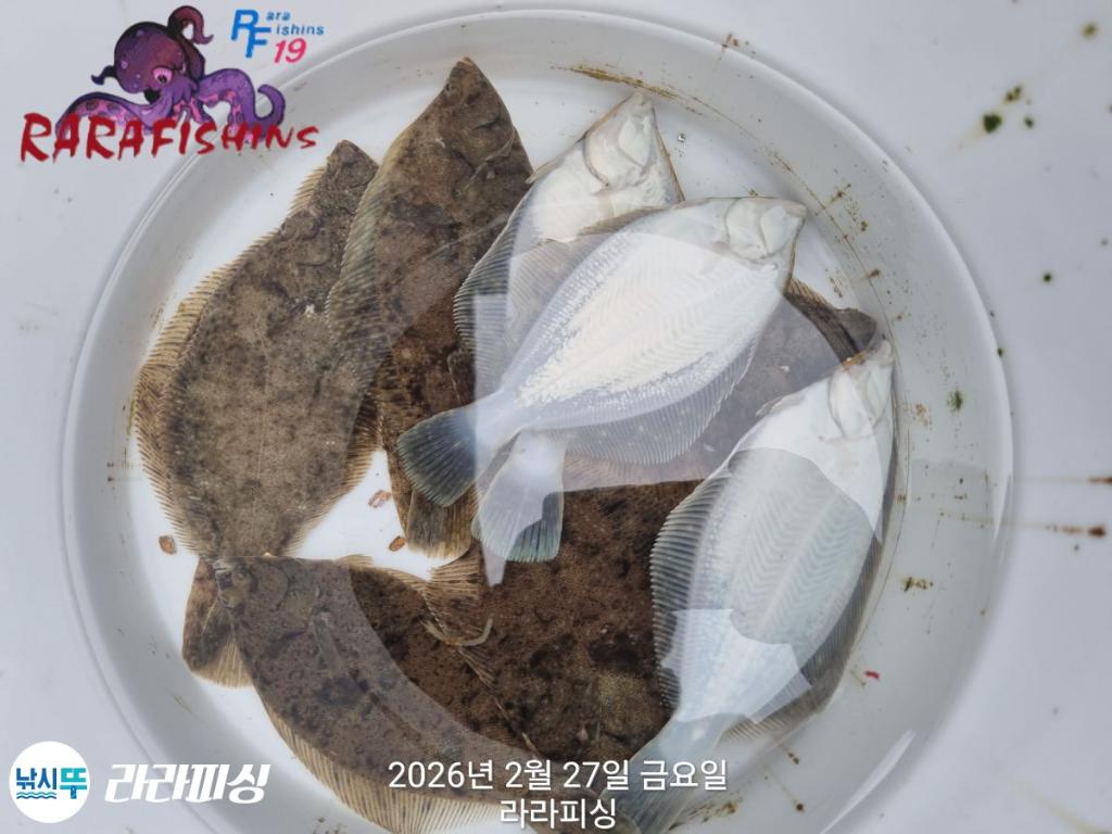 낚시뚜,도다리,속천항(진해),라라피싱,낚시뚜11