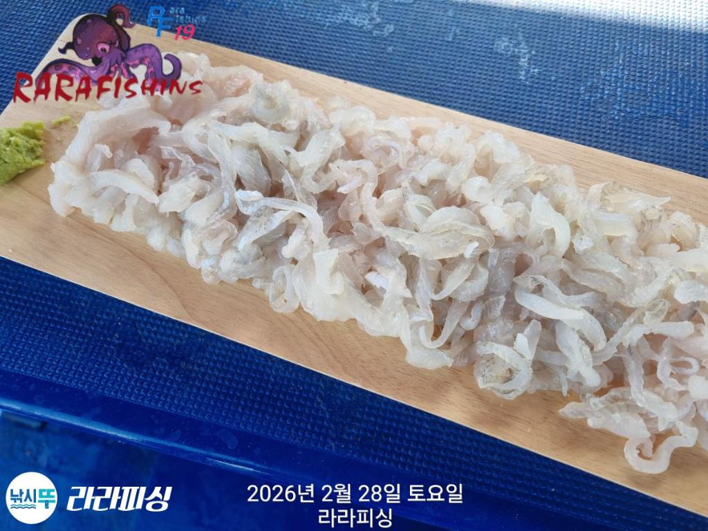 낚시뚜,도다리,속천항(진해),라라피싱,낚시뚜1