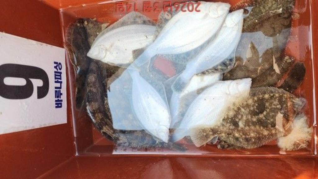 낚시뚜,도다리,속천항(진해),바루나피싱,낚시뚜8