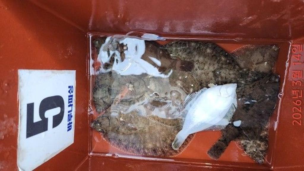 낚시뚜,도다리,속천항(진해),바루나피싱,낚시뚜2