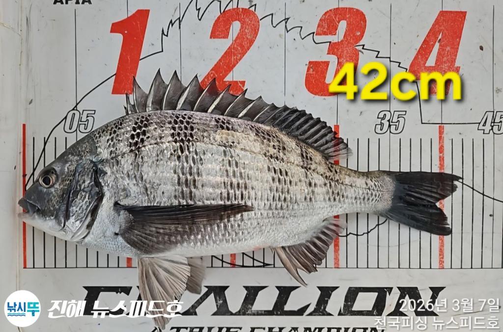 낚시뚜,감성돔,진해행암항,진해 뉴스피드호,낚시뚜9