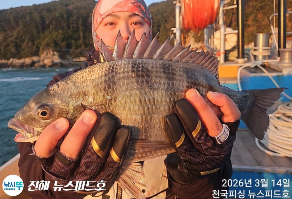 낚시뚜,감성돔,진해행암항,진해 뉴스피드호,낚시뚜0