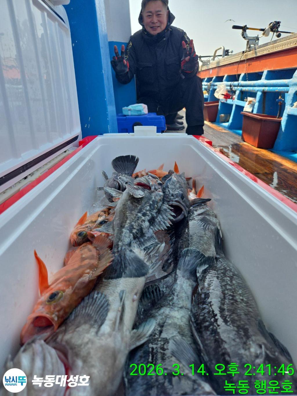 낚시뚜,우럭,열기,녹동항,녹동대성호,낚시뚜59