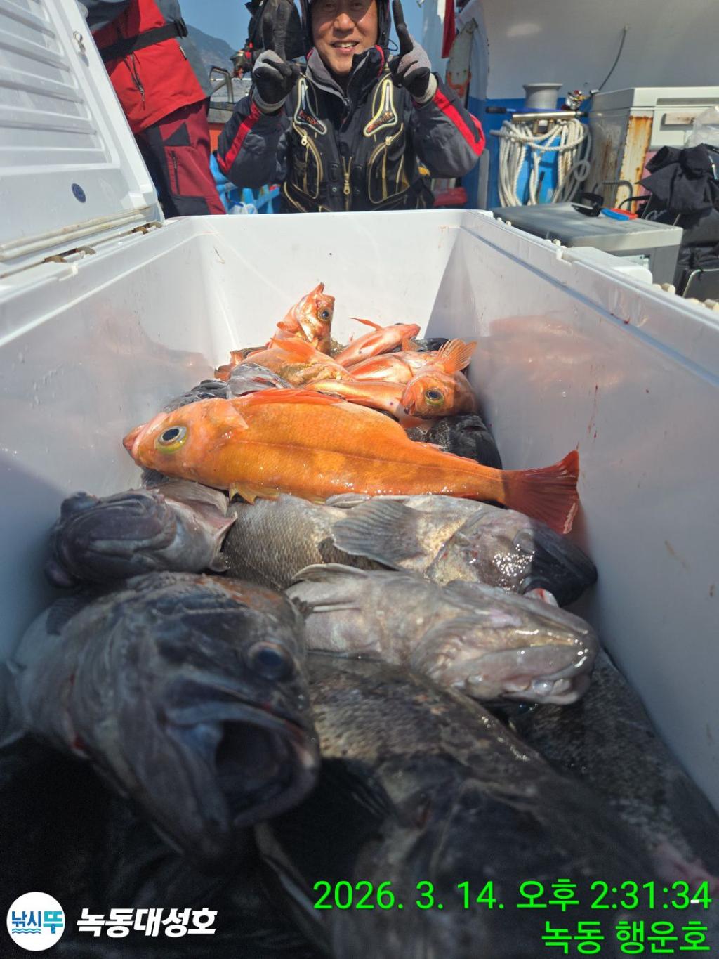 낚시뚜,우럭,열기,녹동항,녹동대성호,낚시뚜57