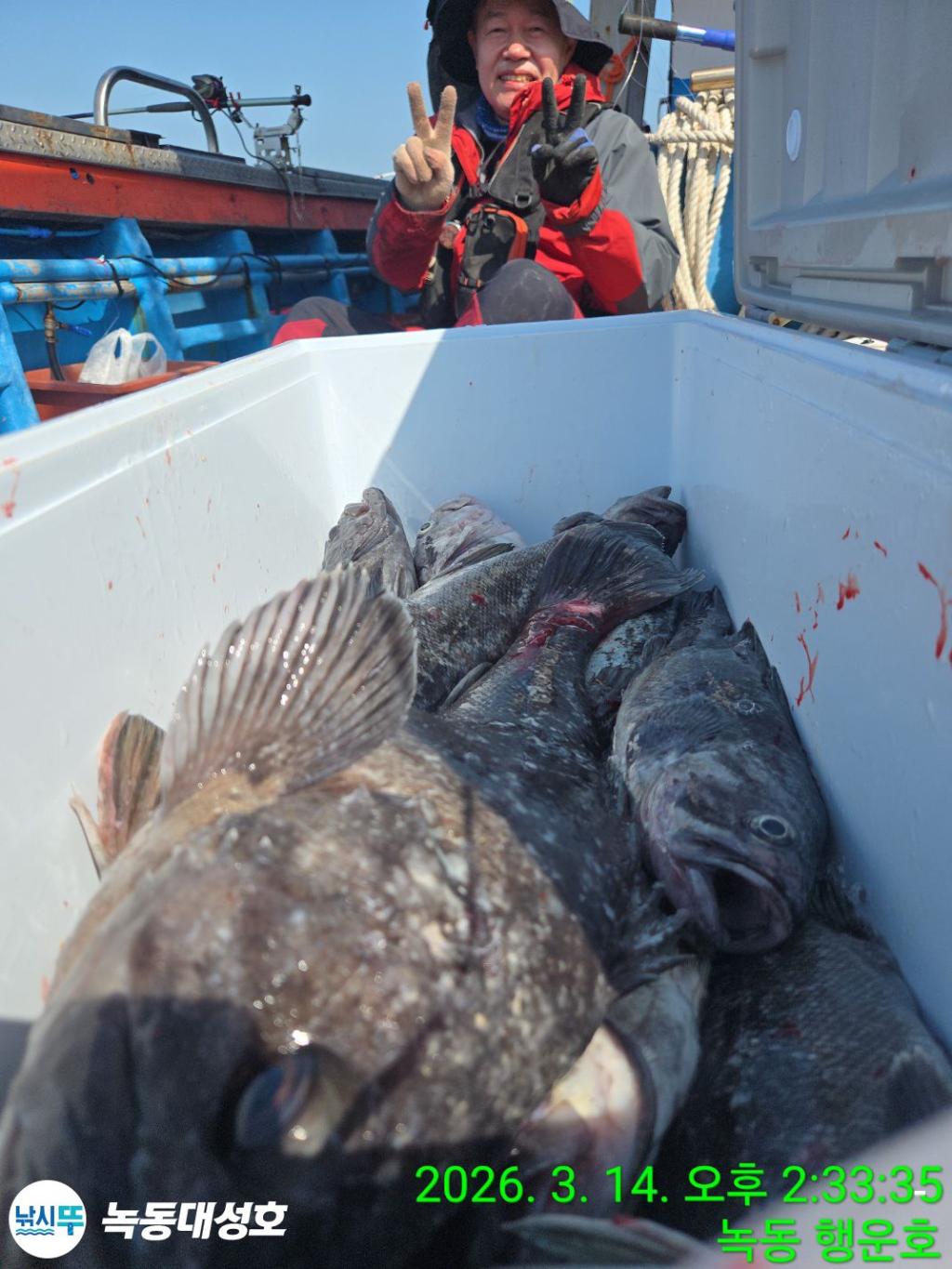 낚시뚜,우럭,열기,녹동항,녹동대성호,낚시뚜56