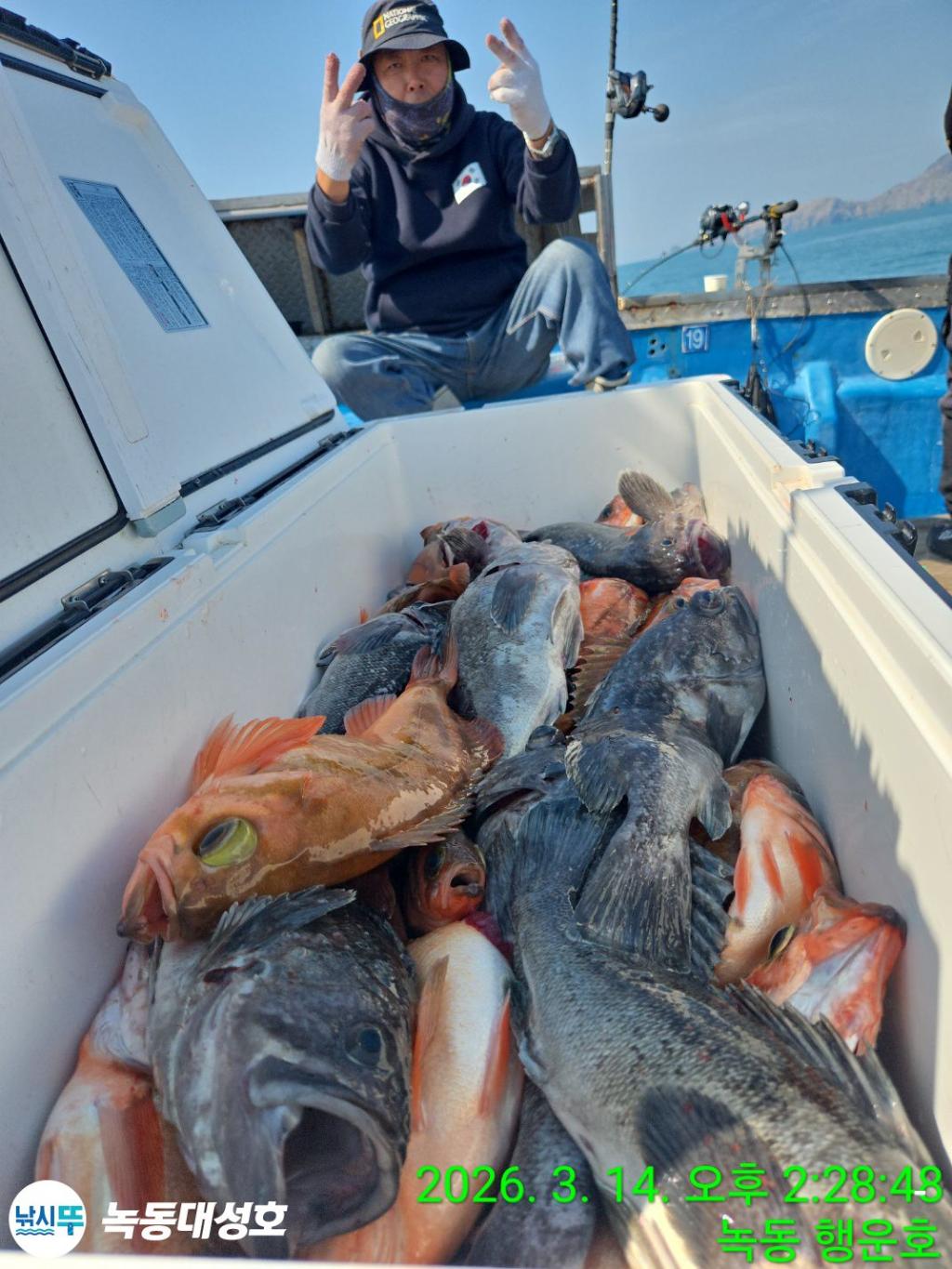 낚시뚜,우럭,열기,녹동항,녹동대성호,낚시뚜54