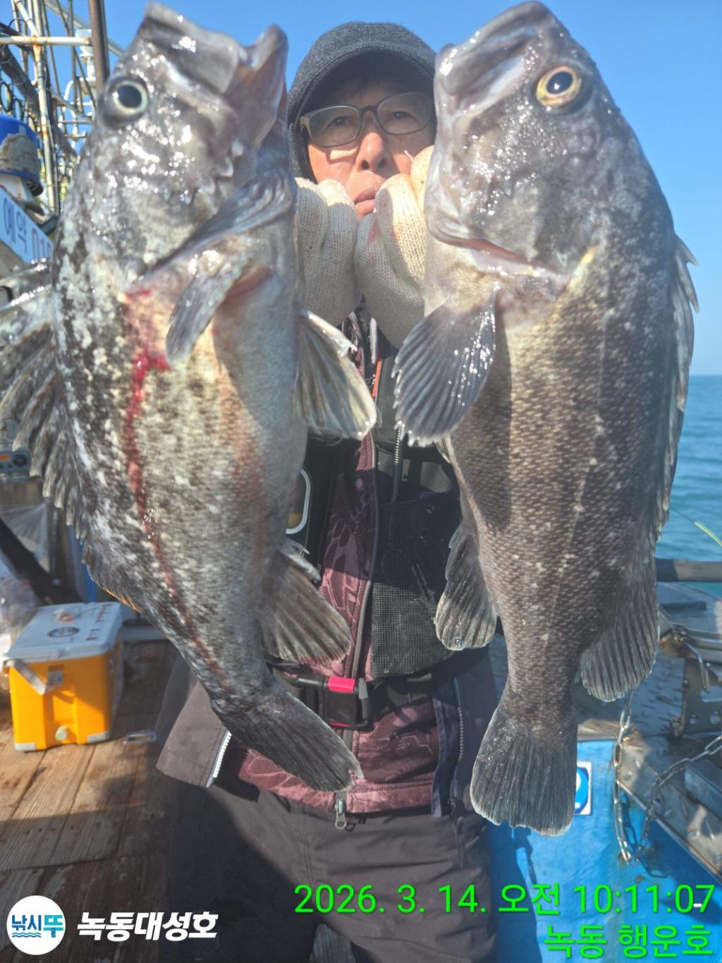 낚시뚜,우럭,열기,녹동항,녹동대성호,낚시뚜52