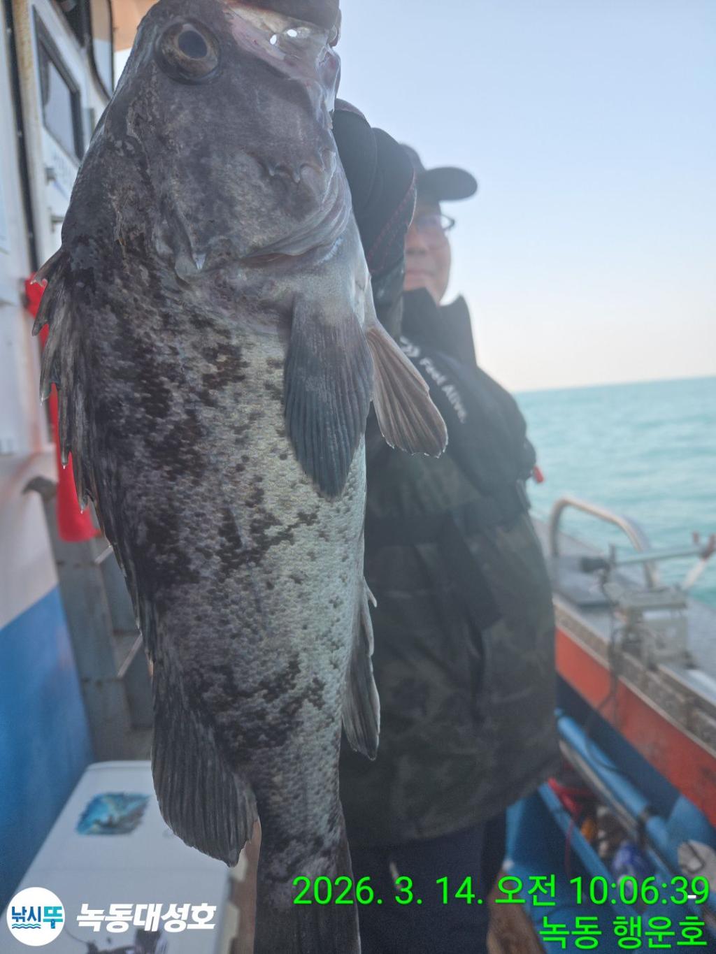 낚시뚜,우럭,열기,녹동항,녹동대성호,낚시뚜49