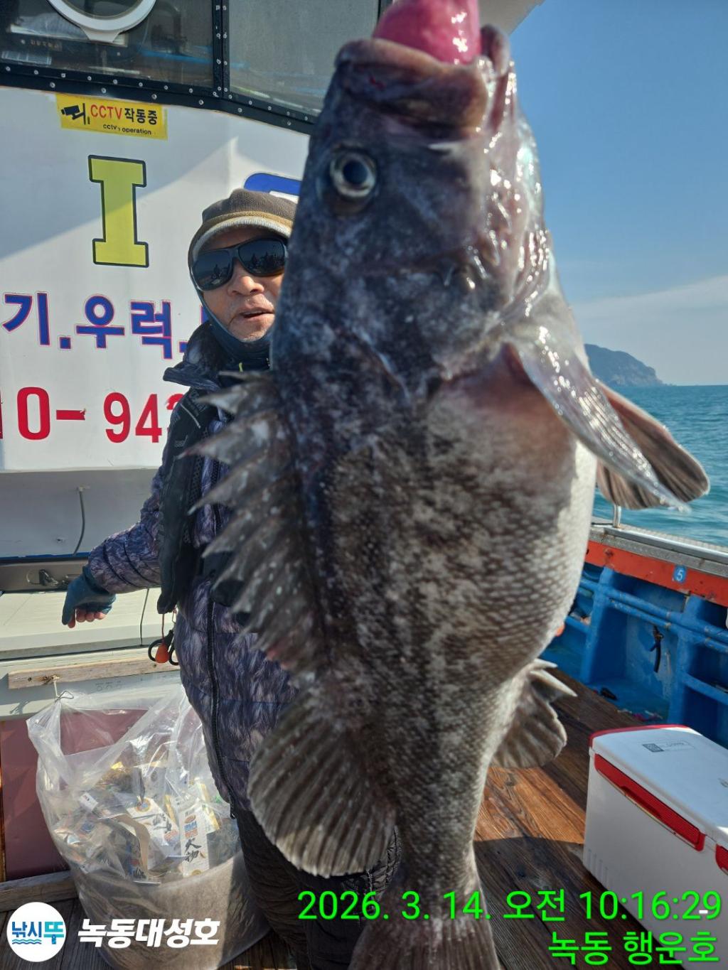 낚시뚜,우럭,열기,녹동항,녹동대성호,낚시뚜46