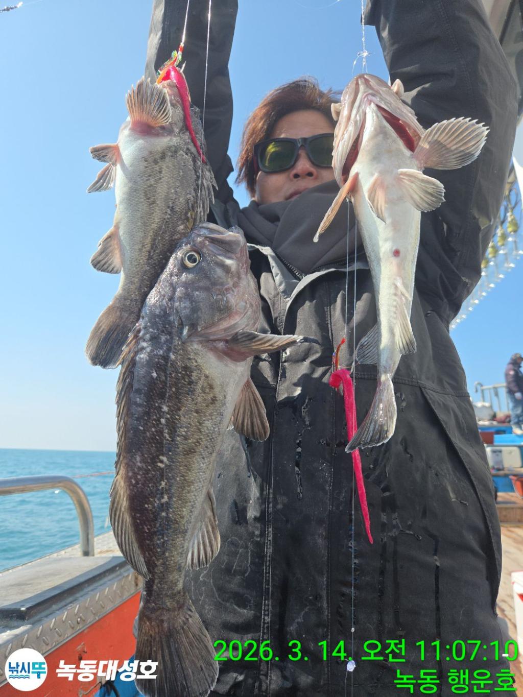 낚시뚜,우럭,열기,녹동항,녹동대성호,낚시뚜40