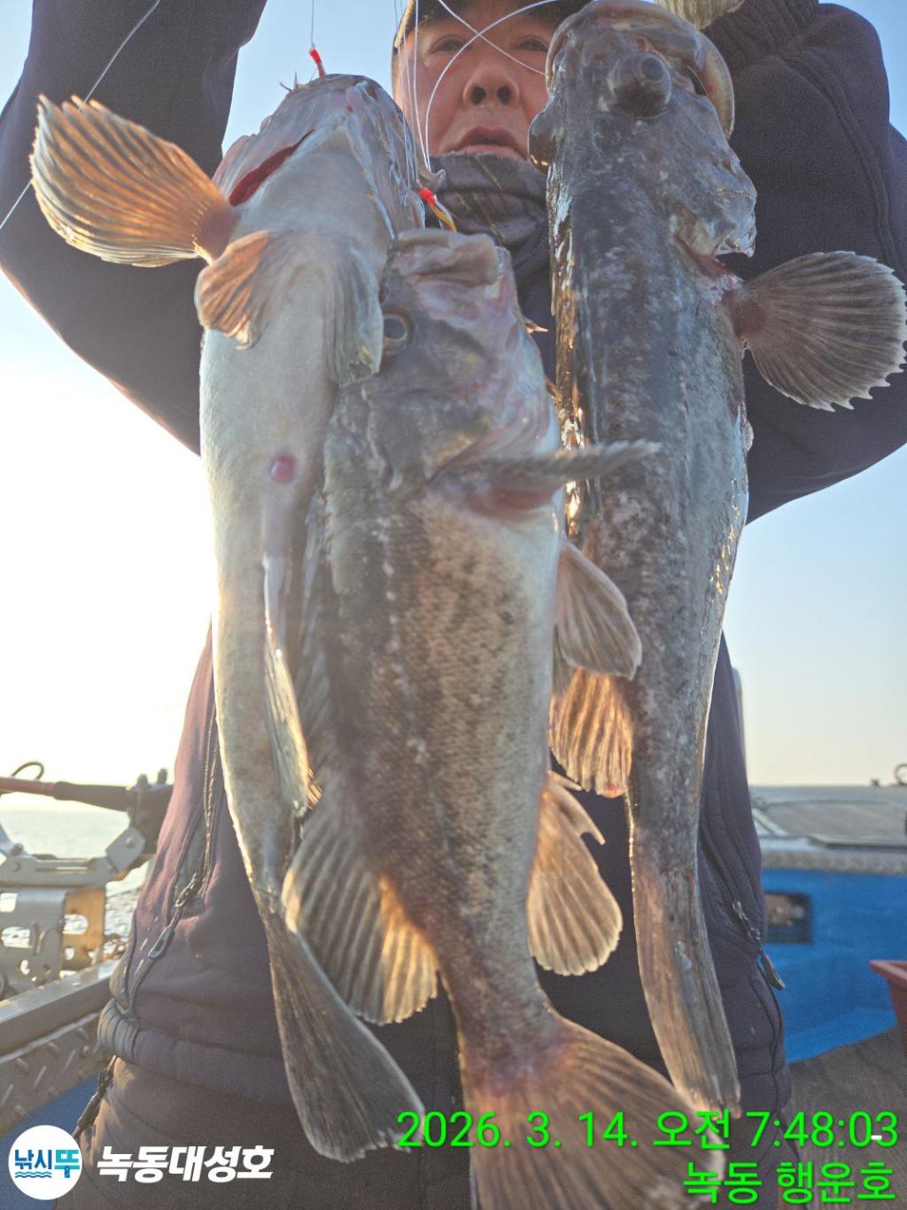 낚시뚜,우럭,열기,녹동항,녹동대성호,낚시뚜38