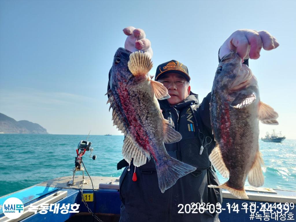 낚시뚜,우럭,열기,녹동항,녹동대성호,낚시뚜34
