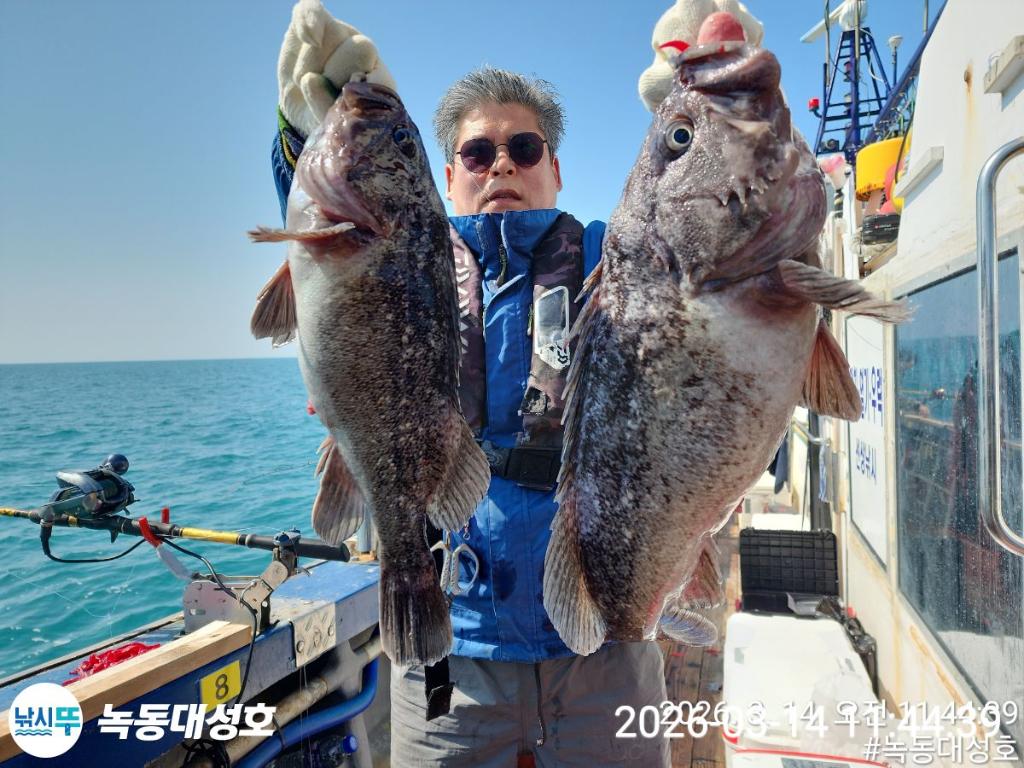 낚시뚜,우럭,열기,녹동항,녹동대성호,낚시뚜29