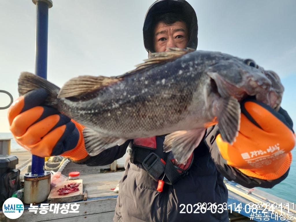 낚시뚜,우럭,열기,녹동항,녹동대성호,낚시뚜26