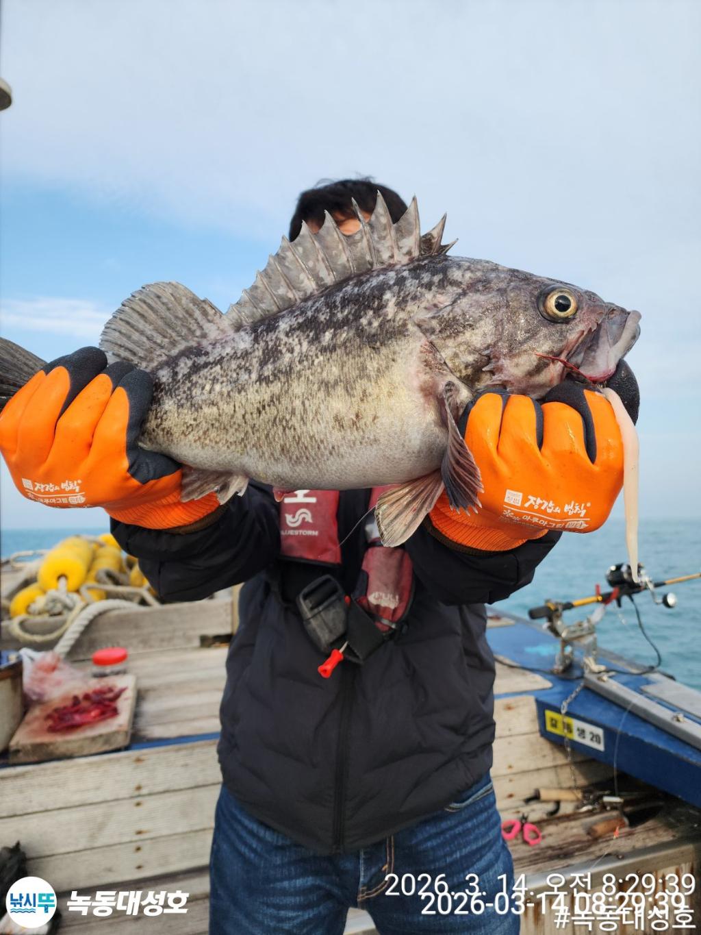 낚시뚜,우럭,열기,녹동항,녹동대성호,낚시뚜24