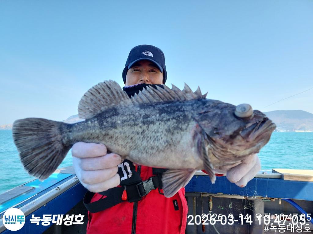 낚시뚜,우럭,열기,녹동항,녹동대성호,낚시뚜20