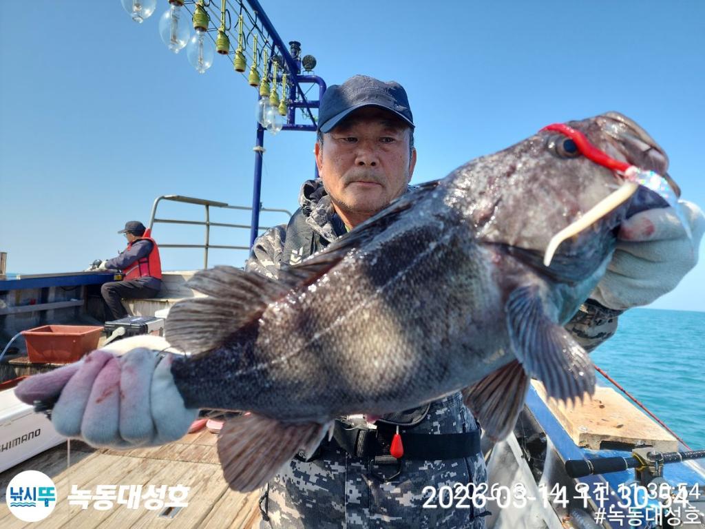 낚시뚜,우럭,열기,녹동항,녹동대성호,낚시뚜16