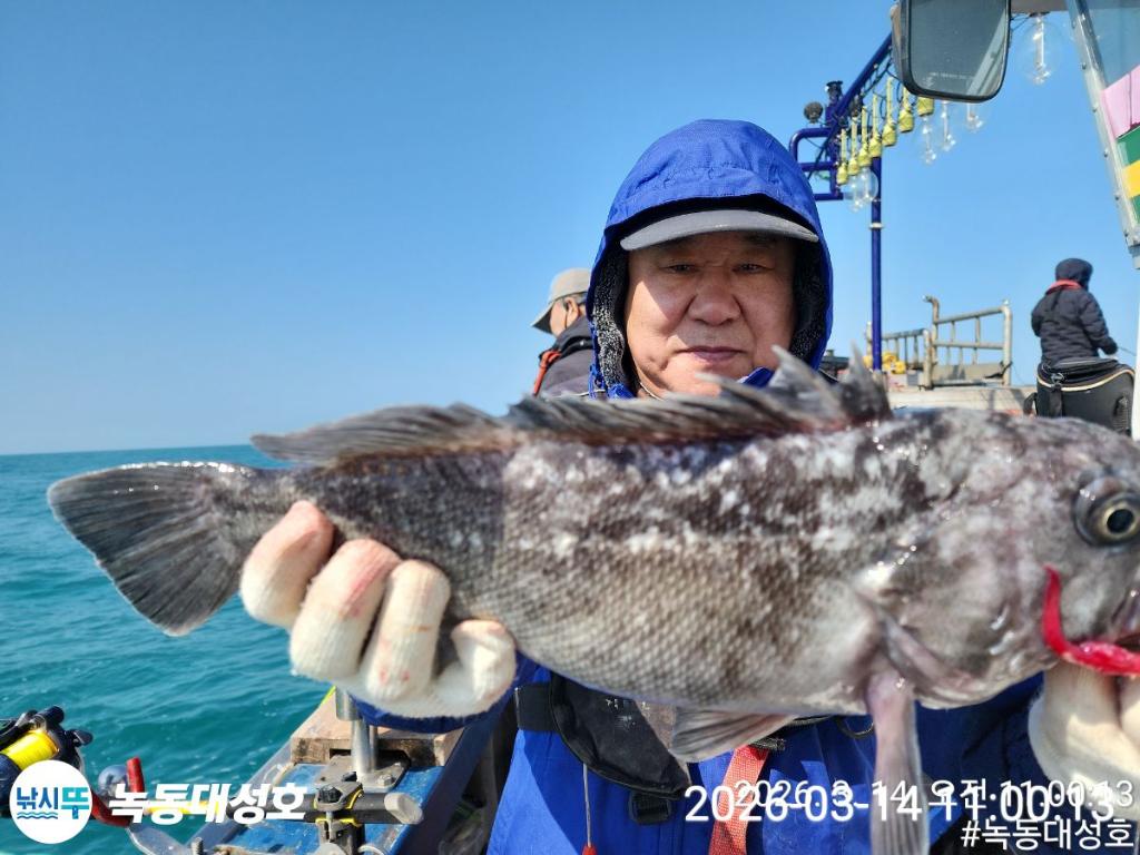 낚시뚜,우럭,열기,녹동항,녹동대성호,낚시뚜15