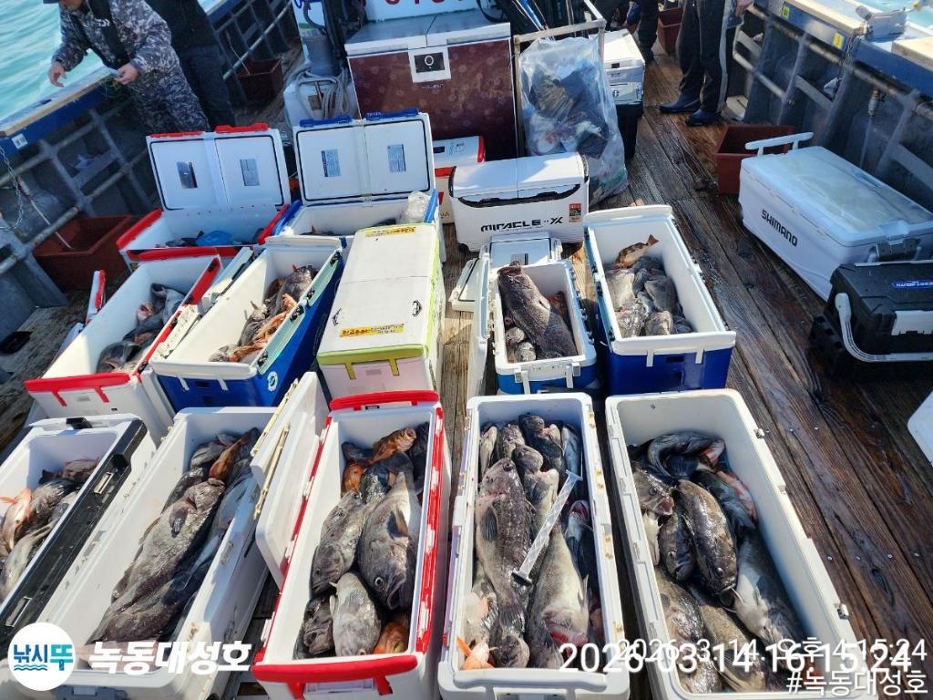 낚시뚜,우럭,열기,녹동항,녹동대성호,낚시뚜1