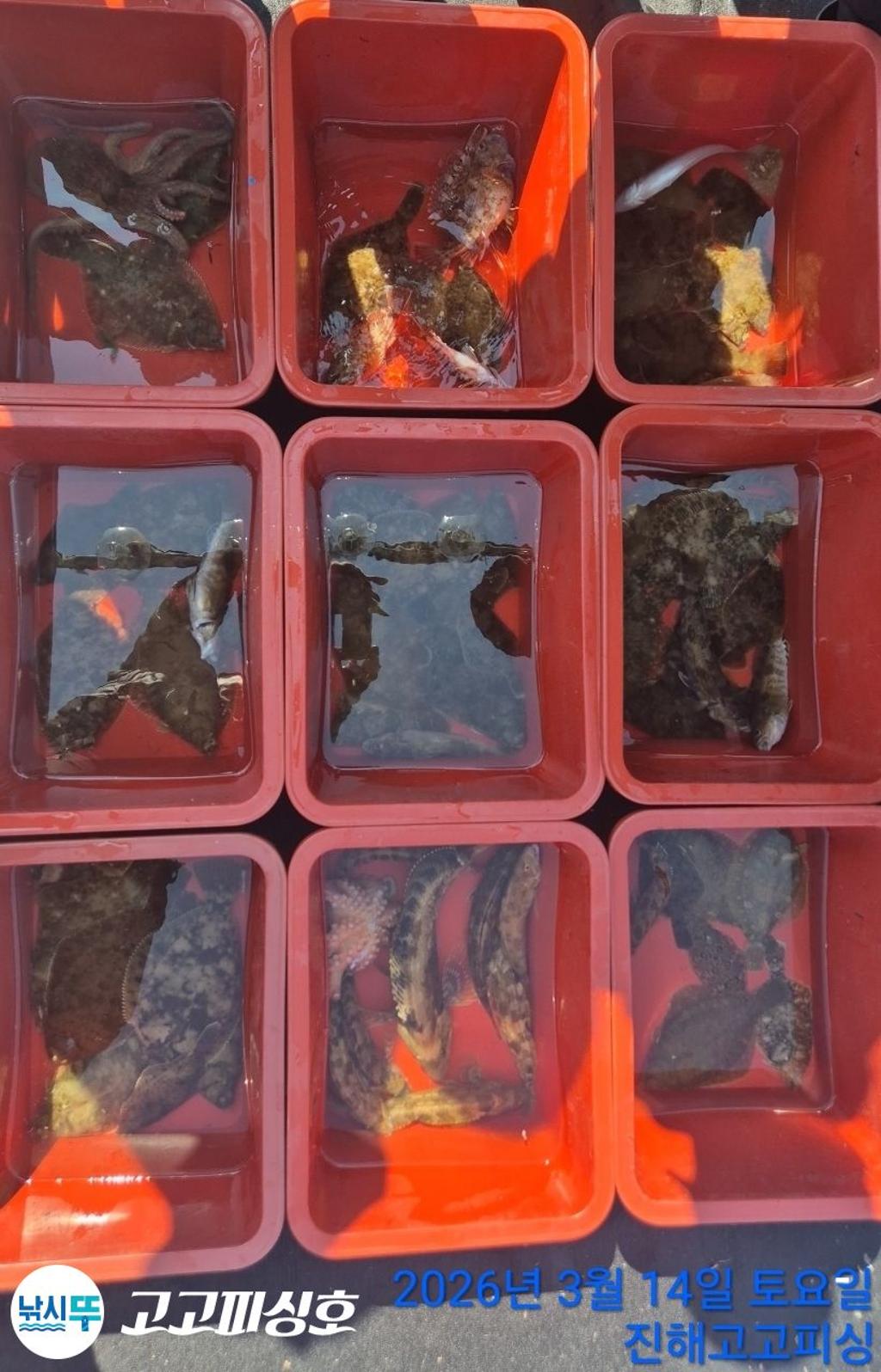 낚시뚜,,속천항(진해),고고피싱호,낚시뚜23