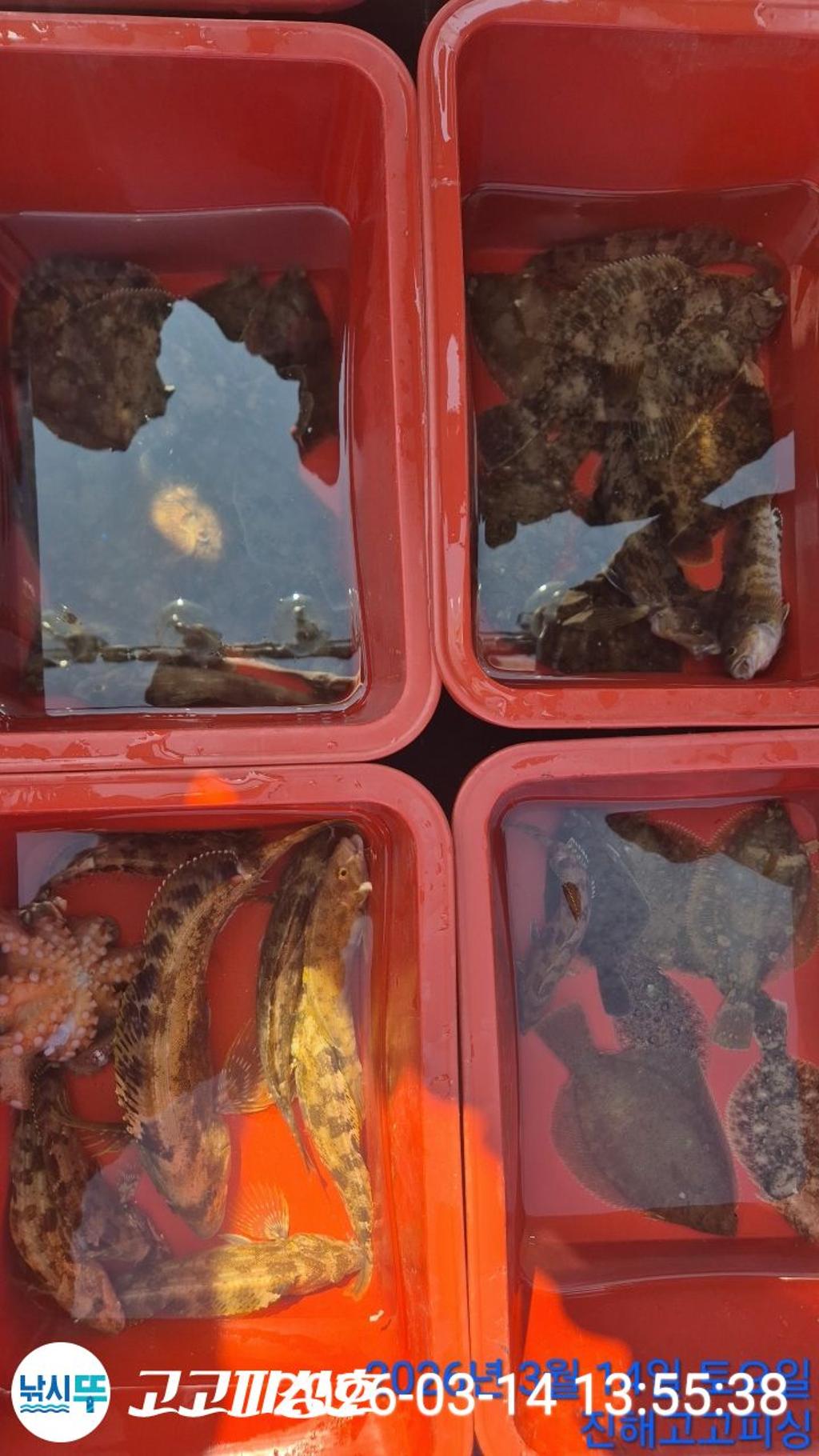 낚시뚜,,속천항(진해),고고피싱호,낚시뚜16