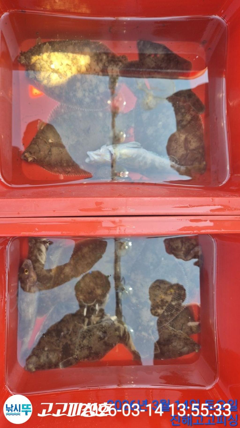 낚시뚜,,속천항(진해),고고피싱호,낚시뚜14