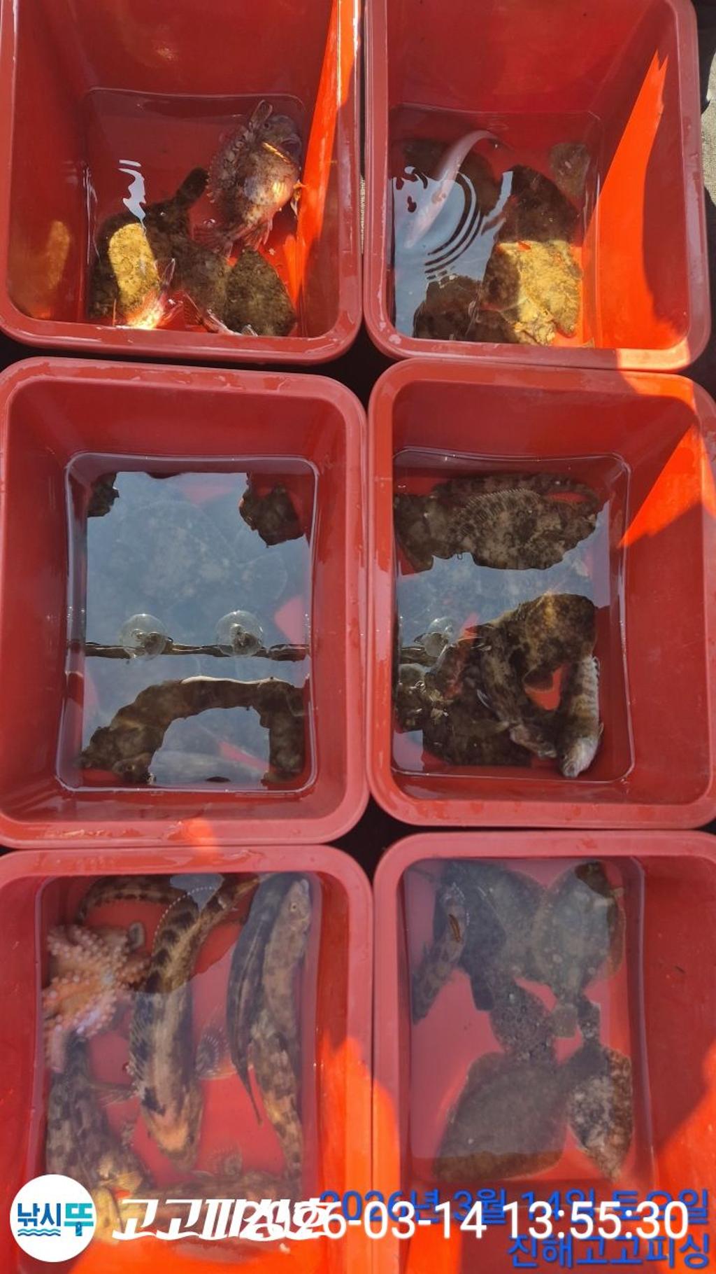 낚시뚜,,속천항(진해),고고피싱호,낚시뚜13