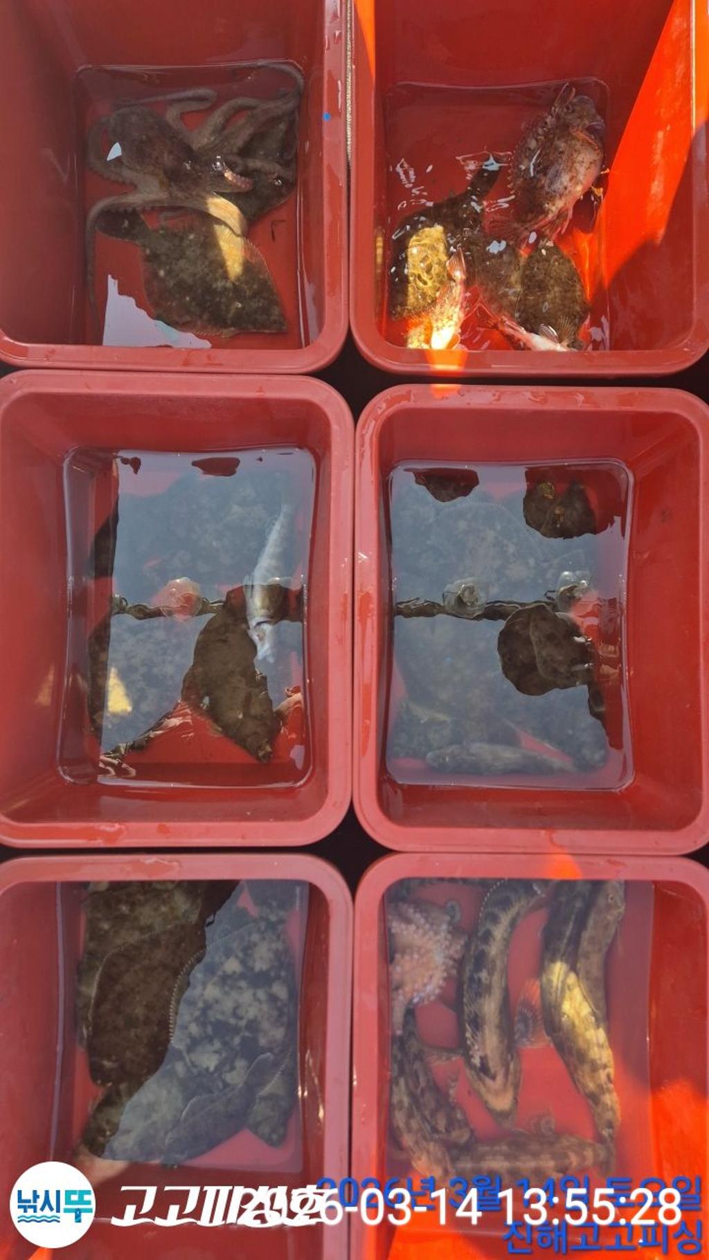 낚시뚜,,속천항(진해),고고피싱호,낚시뚜12