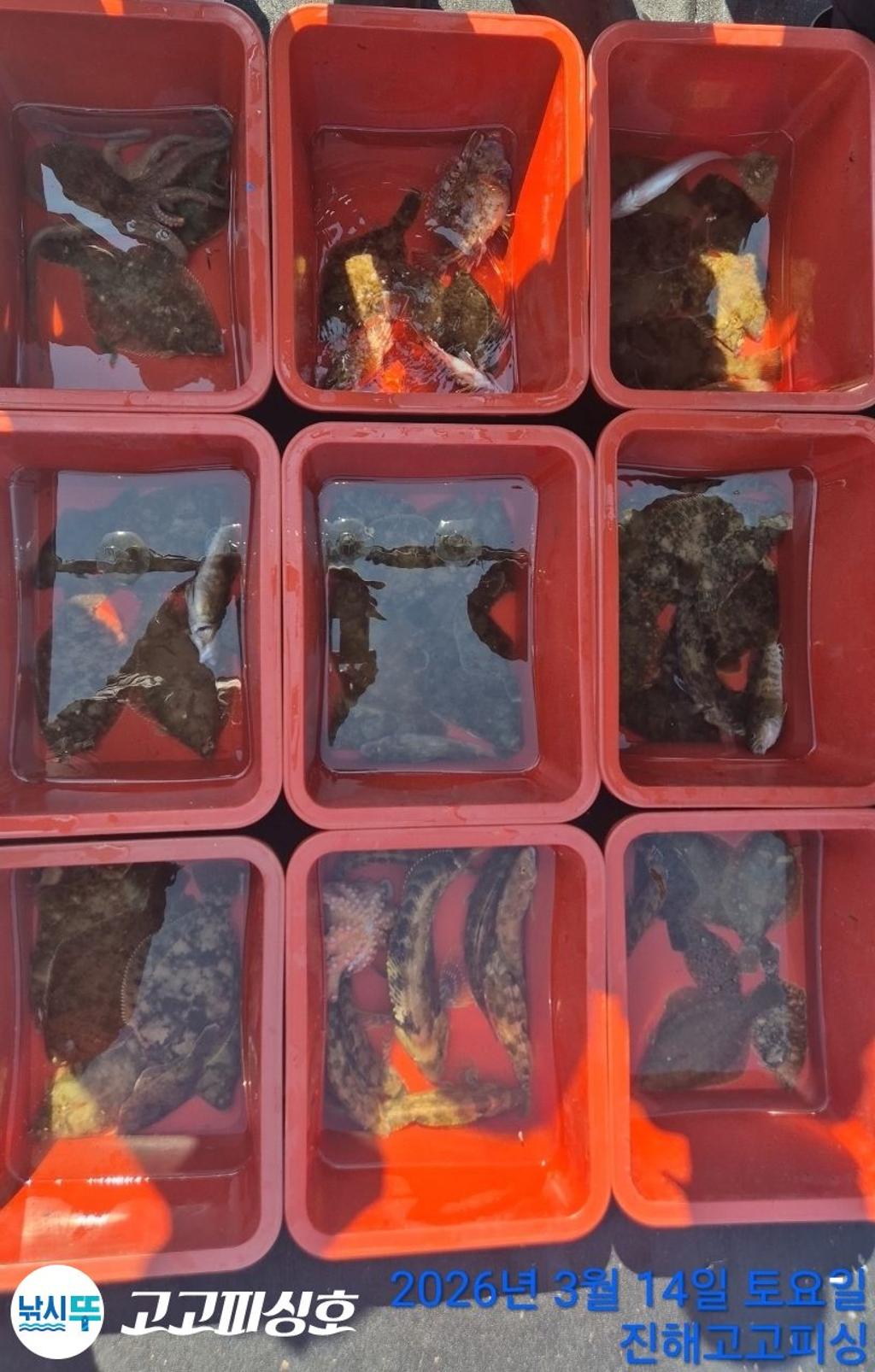 낚시뚜,,속천항(진해),고고피싱호,낚시뚜11