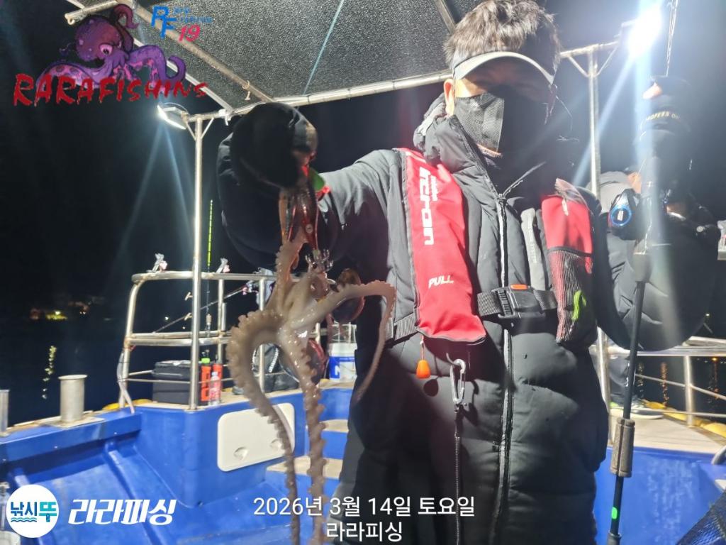 낚시뚜,낙지,속천항(진해),라라피싱,낚시뚜6
