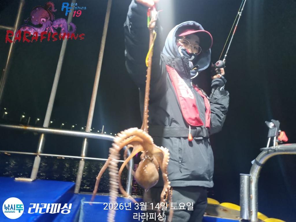 낚시뚜,낙지,속천항(진해),라라피싱,낚시뚜4