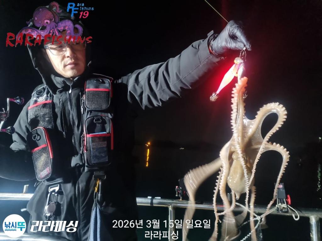 낚시뚜,낙지,속천항(진해),라라피싱,낚시뚜14