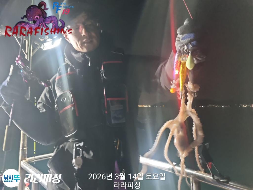 낚시뚜,낙지,속천항(진해),라라피싱,낚시뚜7