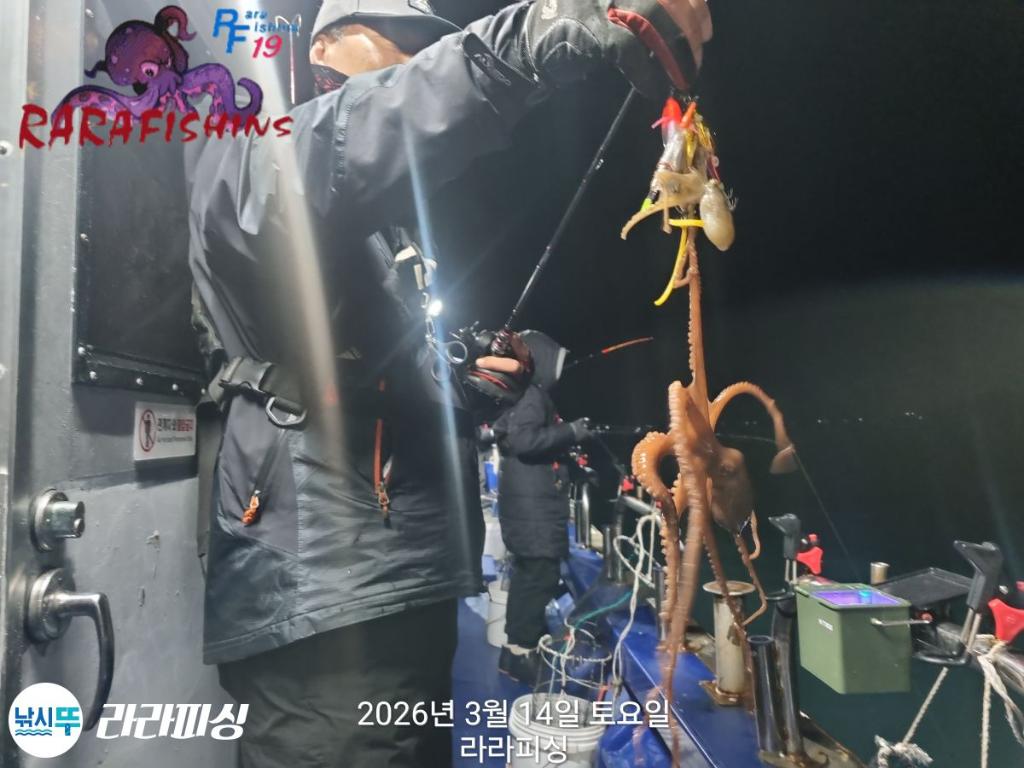 낚시뚜,낙지,속천항(진해),라라피싱,낚시뚜6