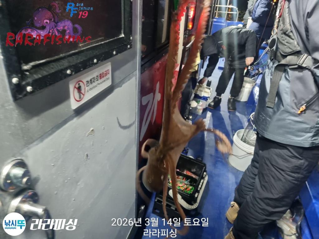 낚시뚜,낙지,속천항(진해),라라피싱,낚시뚜4