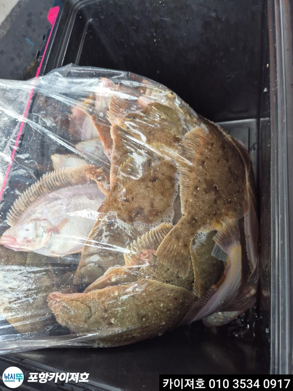 낚시뚜,도다리,영일만항,포항카이져호,낚시뚜46