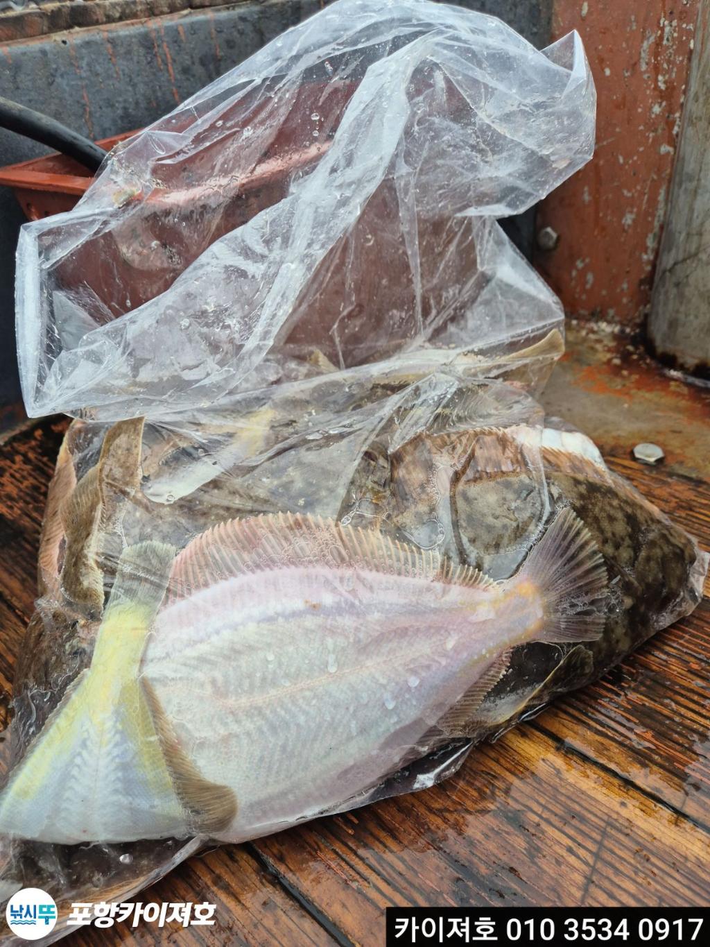 낚시뚜,도다리,영일만항,포항카이져호,낚시뚜35