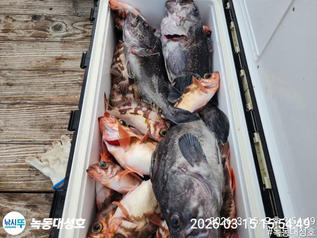 낚시뚜,우럭,열기,녹동항,녹동대성호,낚시뚜48