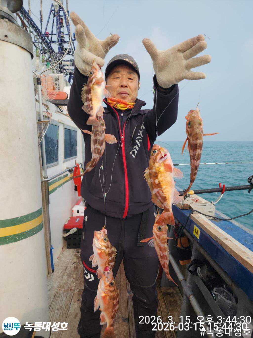 낚시뚜,우럭,열기,녹동항,녹동대성호,낚시뚜46