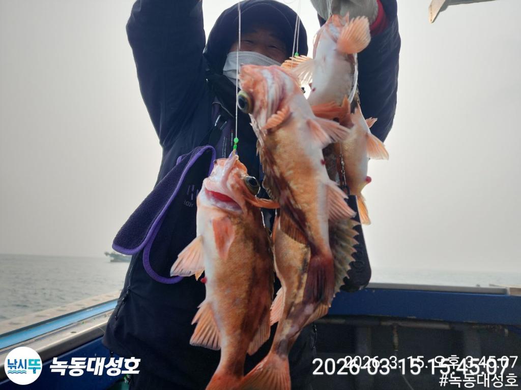 낚시뚜,우럭,열기,녹동항,녹동대성호,낚시뚜45
