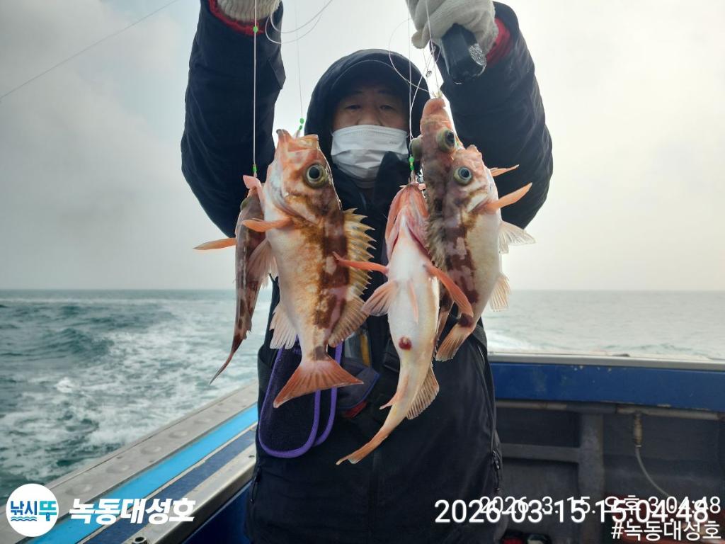 낚시뚜,우럭,열기,녹동항,녹동대성호,낚시뚜42