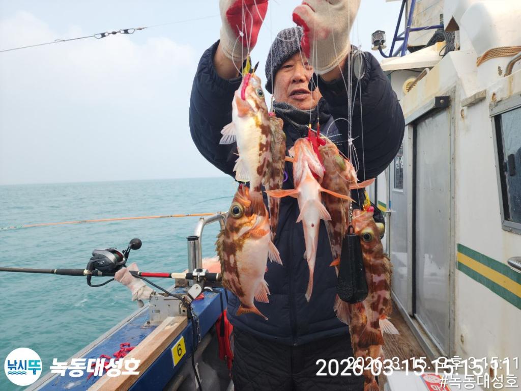 낚시뚜,우럭,열기,녹동항,녹동대성호,낚시뚜37