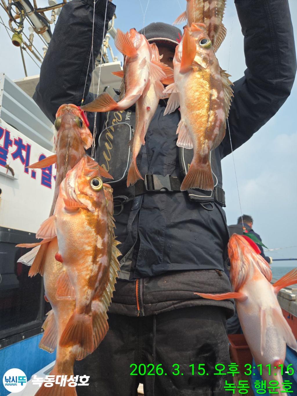 낚시뚜,우럭,열기,녹동항,녹동대성호,낚시뚜34