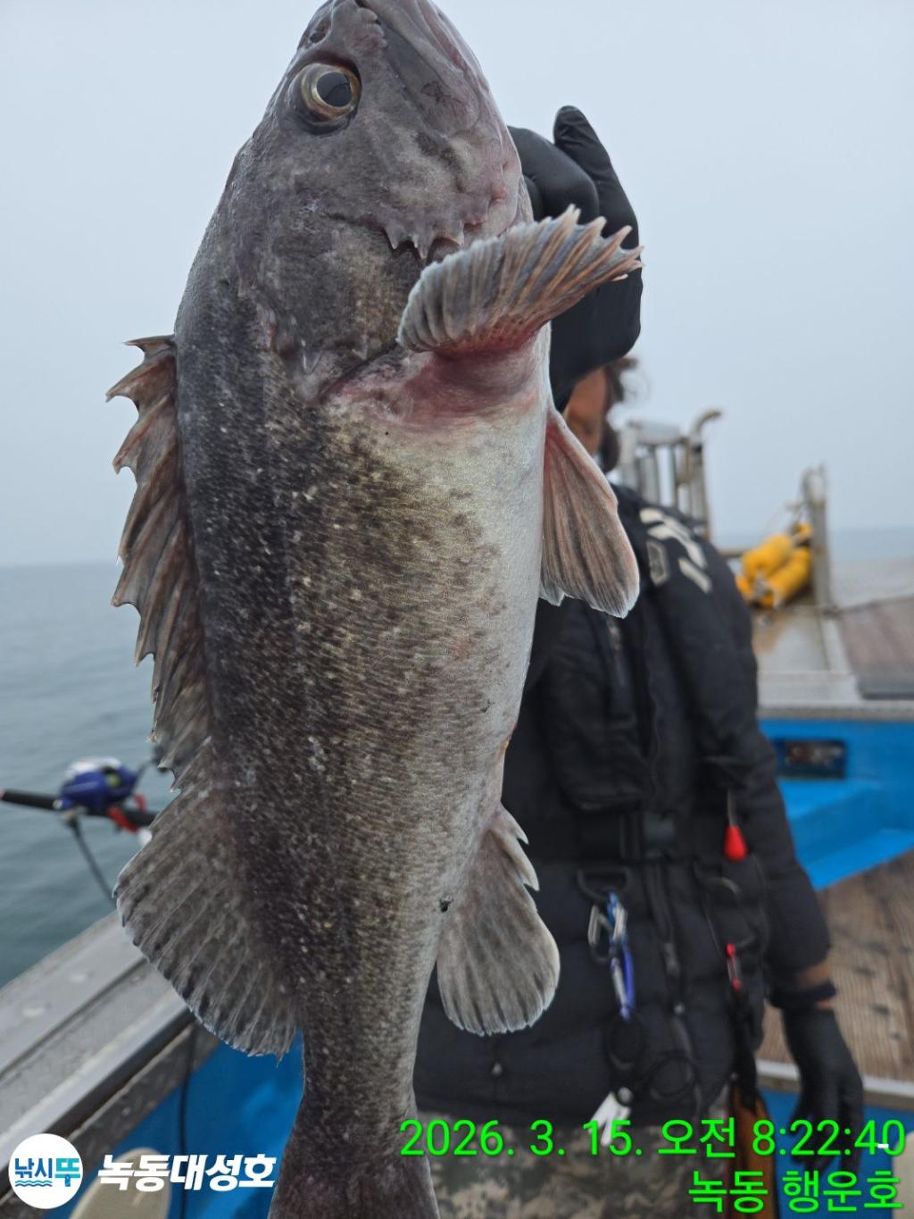 낚시뚜,우럭,열기,녹동항,녹동대성호,낚시뚜32