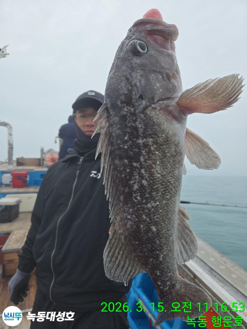 낚시뚜,우럭,열기,녹동항,녹동대성호,낚시뚜29