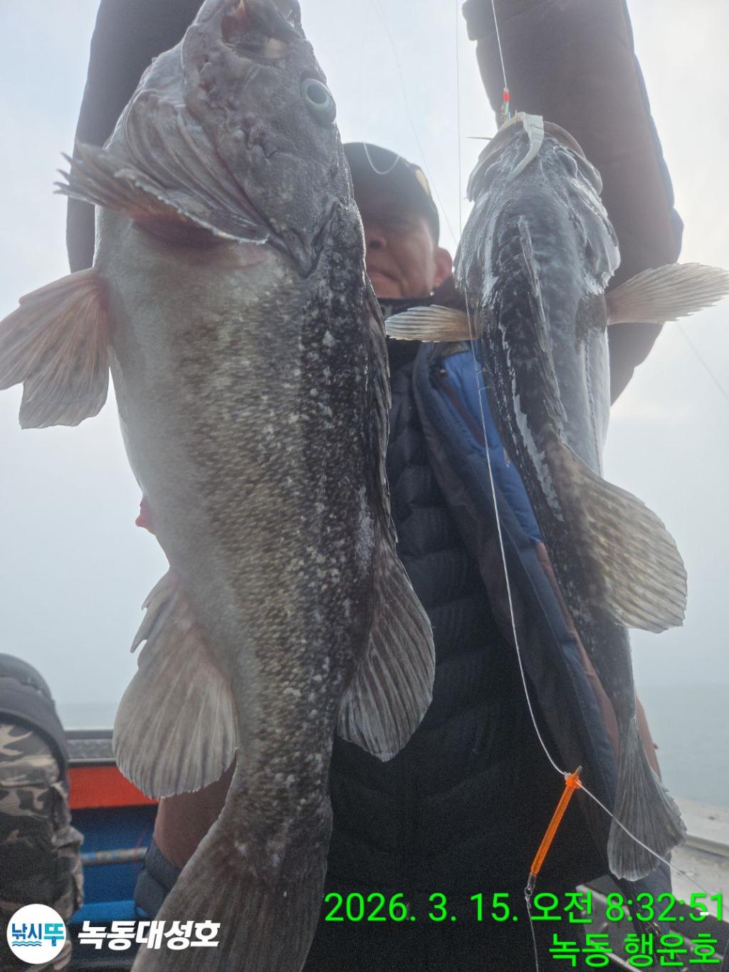 낚시뚜,우럭,열기,녹동항,녹동대성호,낚시뚜28