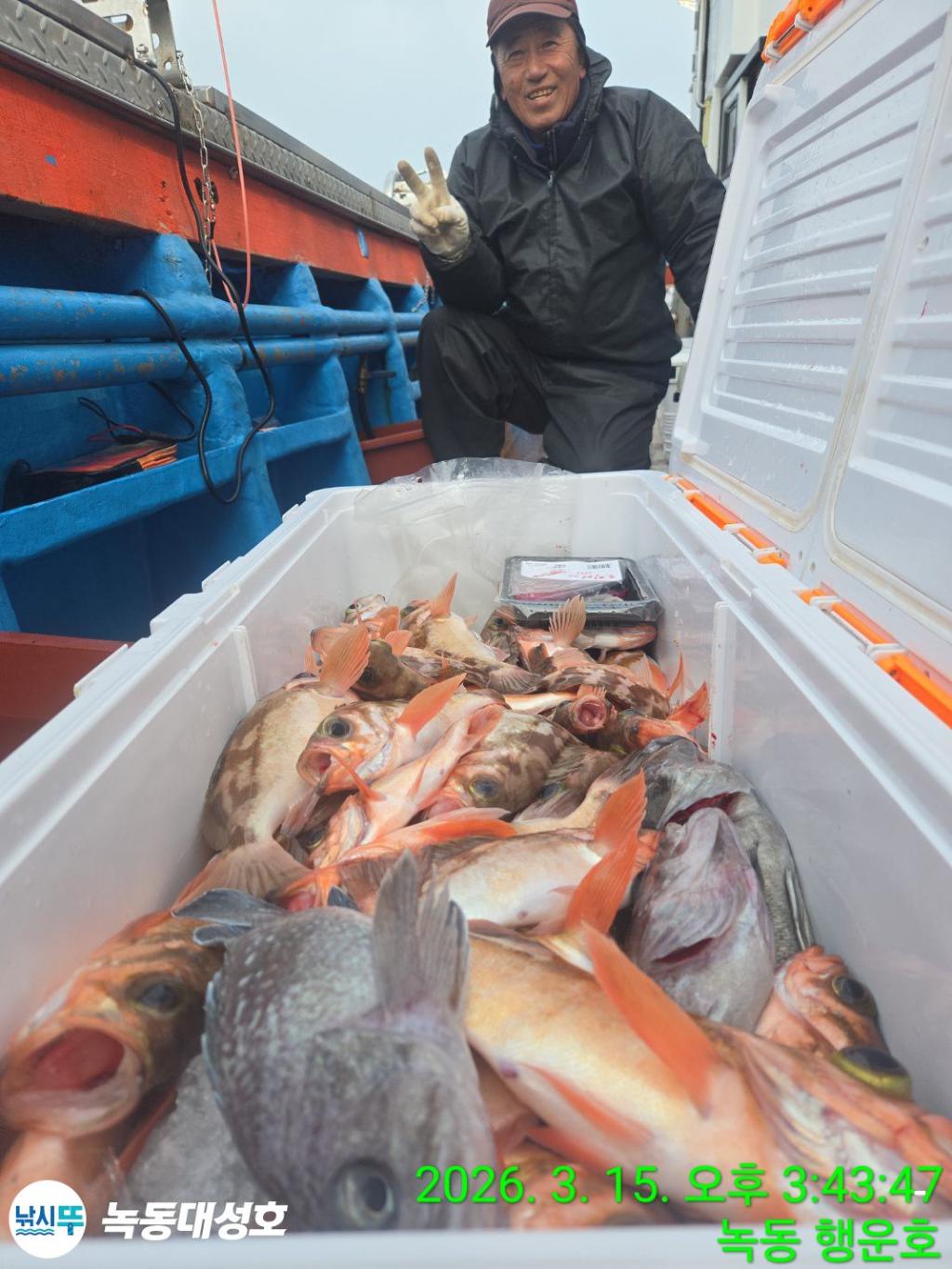 낚시뚜,우럭,열기,녹동항,녹동대성호,낚시뚜19