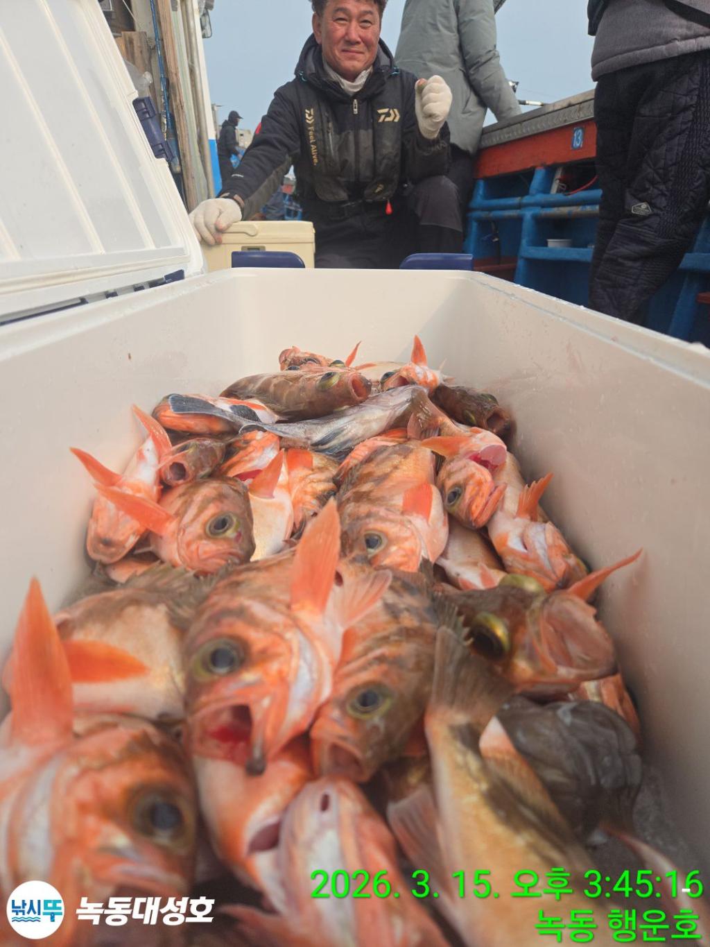 낚시뚜,우럭,열기,녹동항,녹동대성호,낚시뚜18