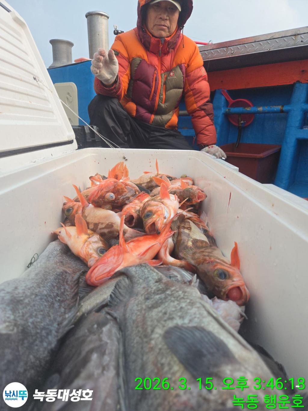 낚시뚜,우럭,열기,녹동항,녹동대성호,낚시뚜17